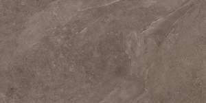 Ceramica Limone Ash Taupe/Brown Struktura 59,7 x 119,7 cm - płytka gresowa rektyfikowana ASH0358